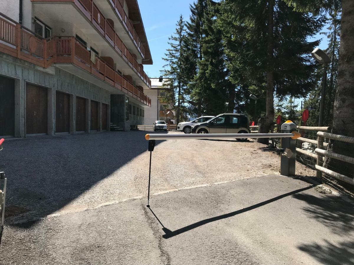 Casa Margherita Apartment Madonna di Campiglio Luaran gambar